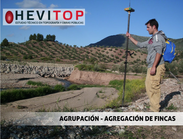 Agregación-de-fincas